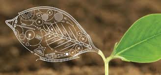 تدریس زیست شناسی